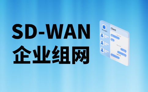 SD-WAN组网：引领企业网络转型的···