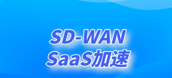 解决IP关联与网络延迟，SD-WAN···